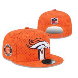 Denver Broncos Caps