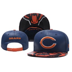 Chicago Bears Caps
