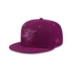 Miami Dolphins Caps