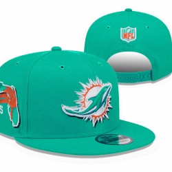 Miami Dolphins Caps