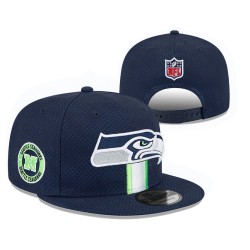 NFL Seattle Seahawks Caps
