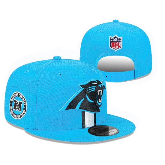 Carolina Panthers Caps
