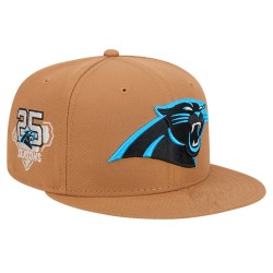 Carolina Panthers Caps