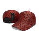 Louis Vuitton Snapback Cap
