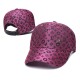 Louis Vuitton Snapback Cap