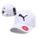 Puma Hats
