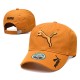 Puma Hats