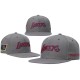 NBA Los Angeles Lakers Caps