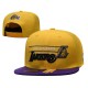NBA Los Angeles Lakers Caps