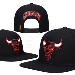 Chicago Bulls Caps