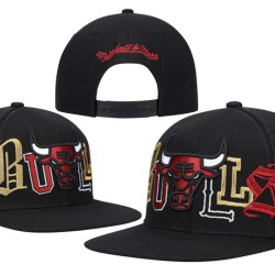 Chicago Bulls Caps