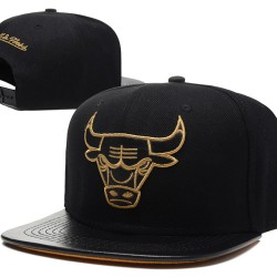 Chicago Bulls Caps
