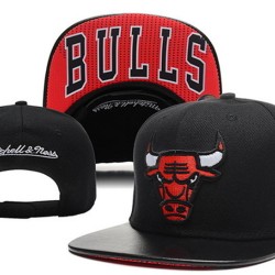 Chicago Bulls Caps
