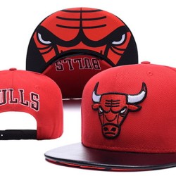 Chicago Bulls Caps