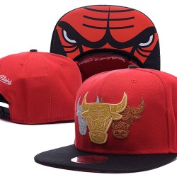 Chicago Bulls Caps
