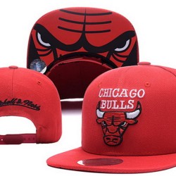Chicago Bulls Caps