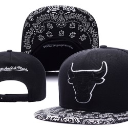Chicago Bulls Caps