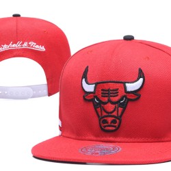 Chicago Bulls Caps