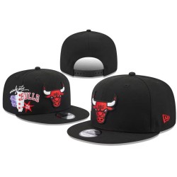 Chicago Bulls Caps