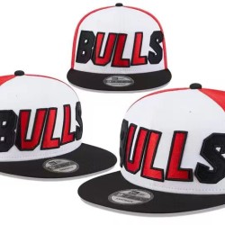 Chicago Bulls Caps