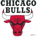 Chicago Bulls