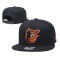 Baltimore Orioles Caps