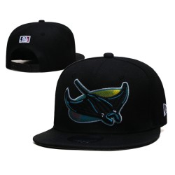MLB Tampa Bay Rays Caps